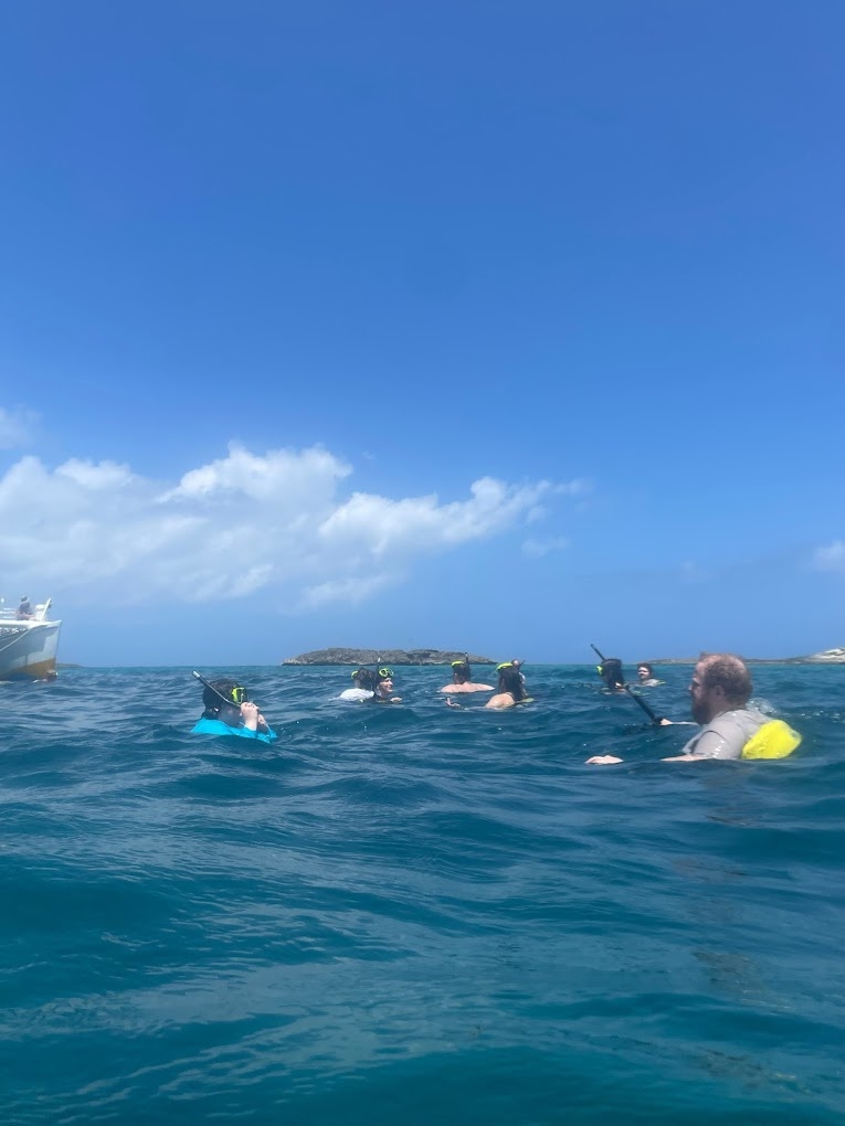 Students snorkeling in the Caribbean Ocean.